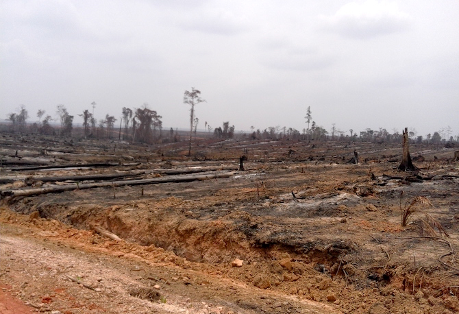 October fires hit traditional indigenous lands in Merauke district in Papua province. (Photo supplied by Pusaka)