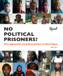 No Political Prisonsers? cover
