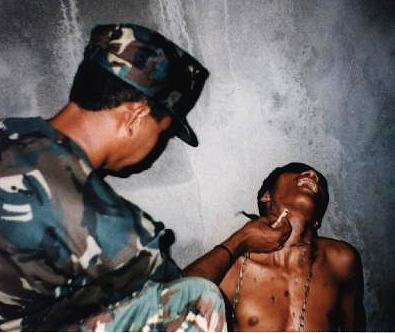 tortr04.jpg (23687 bytes)